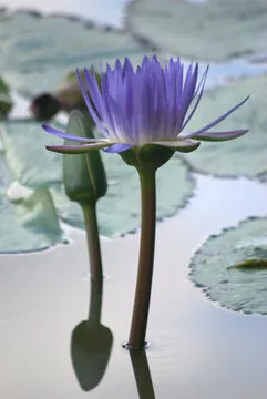 法國loto彩票 App 截图2